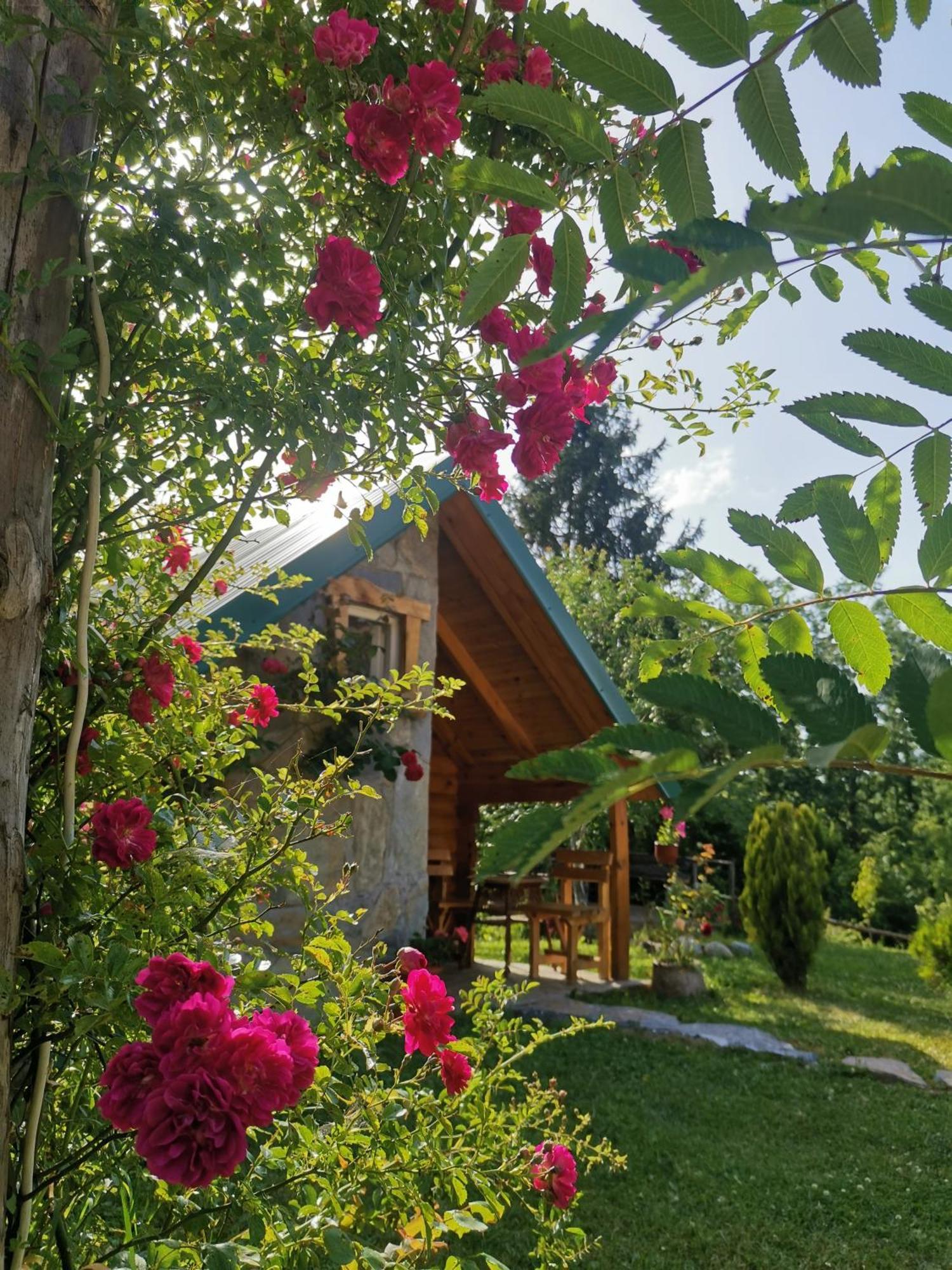 Gazela Bungalov 1 Mojkovac Εξωτερικό φωτογραφία